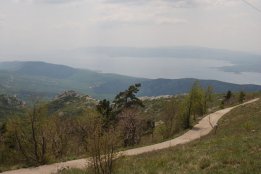 DSC1 (15).jpg